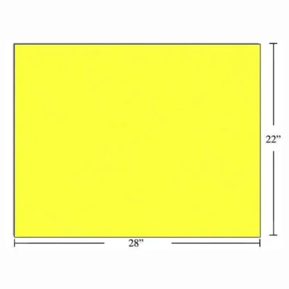 Carton Bristol (#1157)